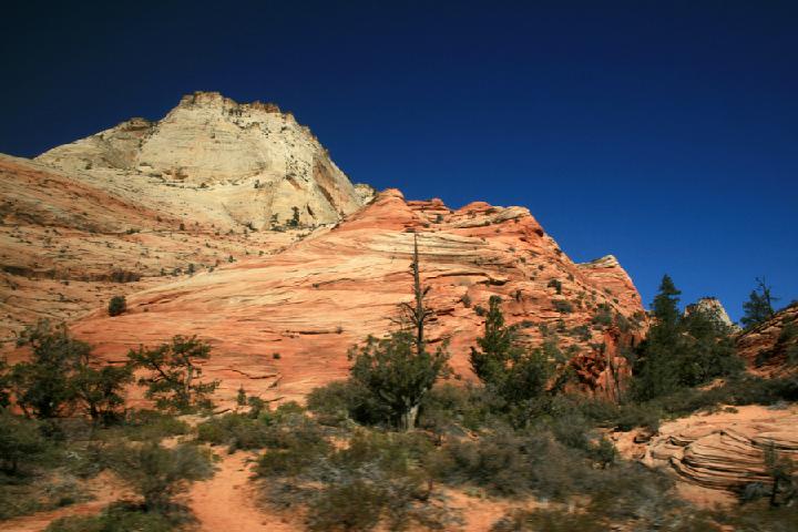 13-Zion 0005.JPG